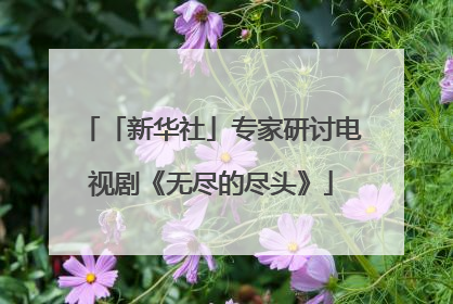 「新华社」专家研讨电视剧《无尽的尽头》