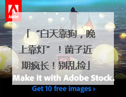 “白天靠狗，晚上靠灯”！菌子近期疯长！别乱捡