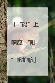 “码”上响应 “阳”帆护航