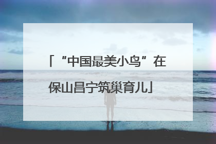 “中国最美小鸟”在保山昌宁筑巢育儿