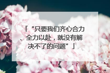 “只要我们齐心合力、全力以赴，就没有解决不了的问题”