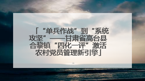“单兵作战”到“系统攻坚”——甘肃省高台县合黎镇“四化一评”激活农村党员管理新引擎