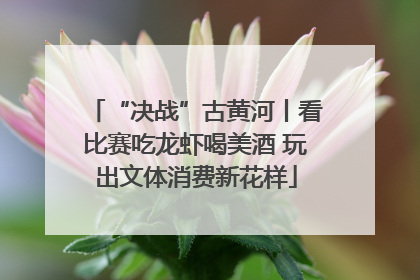 “决战”古黄河丨看比赛吃龙虾喝美酒 玩出文体消费新花样