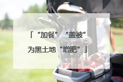 “加餐”“盖被” 为黑土地“增肥”