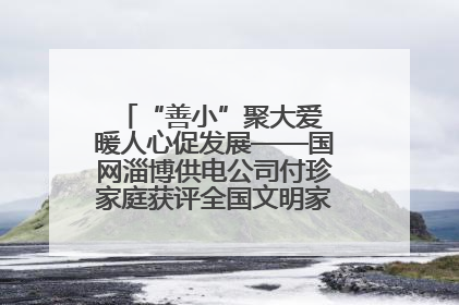 “善小”聚大爱 暖人心促发展——国网淄博供电公司付珍家庭获评全国文明家庭背后的文明密码