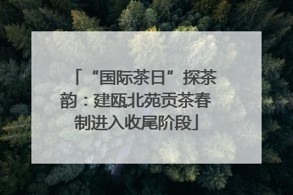 “国际茶日”探茶韵：建瓯北苑贡茶春制进入收尾阶段