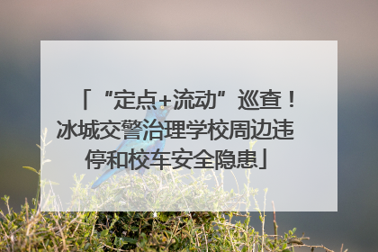 “定点+流动”巡查！冰城交警治理学校周边违停和校车安全隐患