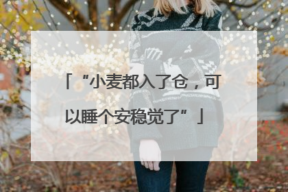 “小麦都入了仓，可以睡个安稳觉了”