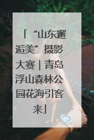 “山东邂逅美”摄影大赛｜青岛浮山森林公园花海引客来
