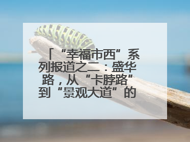 “幸福市西”系列报道之二：盛华路，从“卡脖路”到“景观大道”的华丽转身