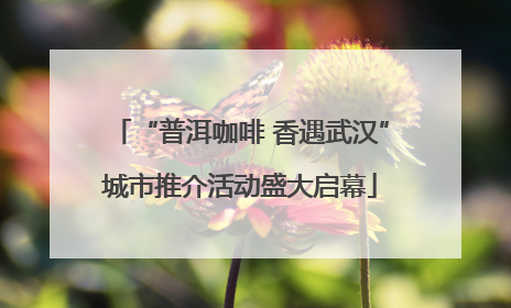 “普洱咖啡 香遇武汉”城市推介活动盛大启幕