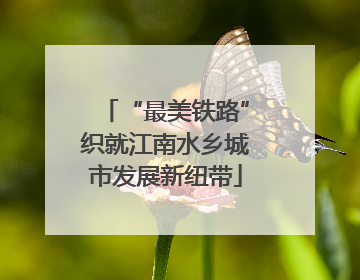 “最美铁路”织就江南水乡城市发展新纽带