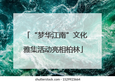 “梦华江南”文化雅集活动亮相柏林