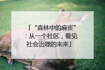 “森林中的麻雀”：从一个社区，看见社会治理的未来