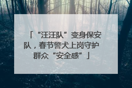 “汪汪队”变身保安队，春节警犬上岗守护群众“安全感”