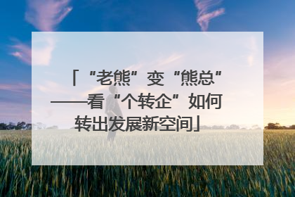 “老熊”变“熊总”——看“个转企”如何转出发展新空间