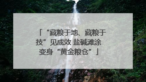 “藏粮于地、藏粮于技”见成效 盐碱滩涂变身“黄金粮仓”