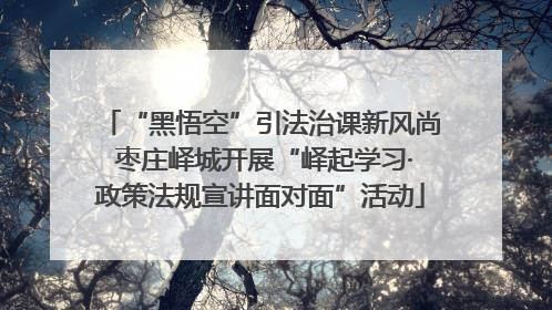 “黑悟空”引法治课新风尚 枣庄峄城开展“峄起学习·政策法规宣讲面对面”活动