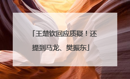 王楚钦回应质疑！还提到马龙、樊振东
