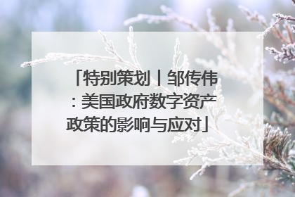 特别策划丨邹传伟：美国政府数字资产政策的影响与应对