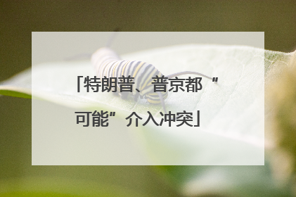 特朗普、普京都“可能”介入冲突