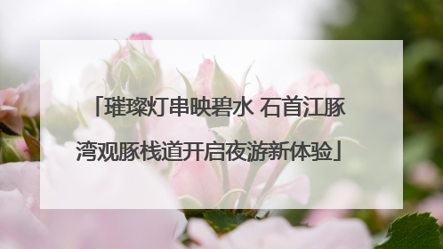 璀璨灯串映碧水 石首江豚湾观豚栈道开启夜游新体验