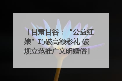 甘肃甘谷：“公益红娘”巧破高额彩礼 破规立范推广文明婚俗