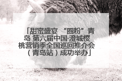 甜蜜盛宴 “圈粉”青岛 第六届中国·澄城樱桃营销季全国巡回推介会（青岛站）成功举办