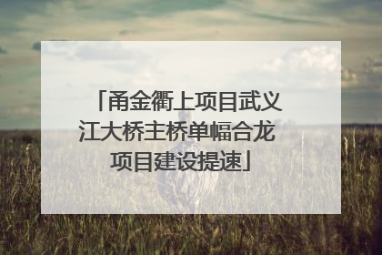 甬金衢上项目武义江大桥主桥单幅合龙 项目建设提速