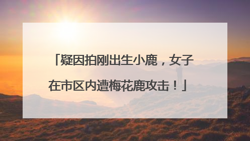 疑因拍刚出生小鹿，女子在市区内遭梅花鹿攻击！