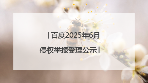 百度2025年6月侵权举报受理公示