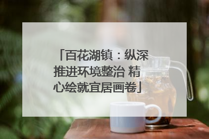 百花湖镇：纵深推进环境整治 精心绘就宜居画卷
