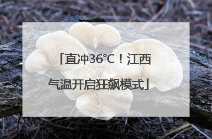 直冲36℃！江西气温开启狂飙模式