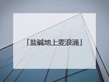 盐碱地上麦浪涌