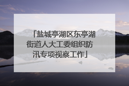 盐城亭湖区东亭湖街道人大工委组织防汛专项视察工作