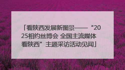 看陕西发展新图景——“2025相约丝博会 全国主流媒体看陕西”主题采访活动见闻