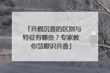 真假沉香的区别与特征有哪些？专家教你慧眼识真香