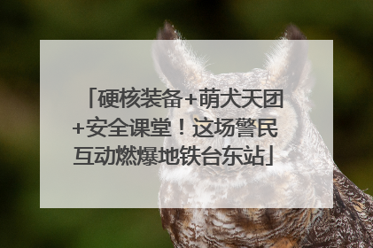 硬核装备+萌犬天团+安全课堂！这场警民互动燃爆地铁台东站
