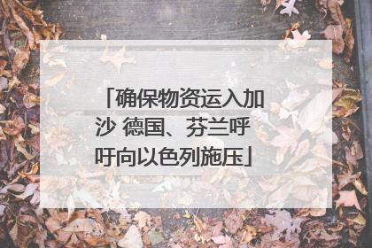 确保物资运入加沙 德国、芬兰呼吁向以色列施压