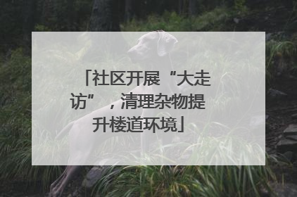 社区开展“大走访”，清理杂物提升楼道环境