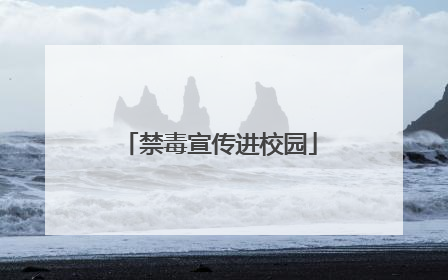 禁毒宣传进校园