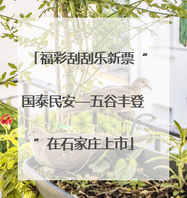 福彩刮刮乐新票“国泰民安—五谷丰登”在石家庄上市