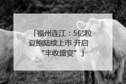 福州连江：5亿粒夏鲍陆续上市 开启“丰收盛宴”