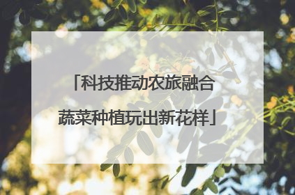 科技推动农旅融合 蔬菜种植玩出新花样