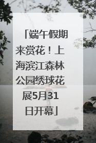 端午假期来赏花！上海滨江森林公园绣球花展5月31日开幕