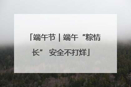 端午节｜端午“粽情长” 安全不打烊