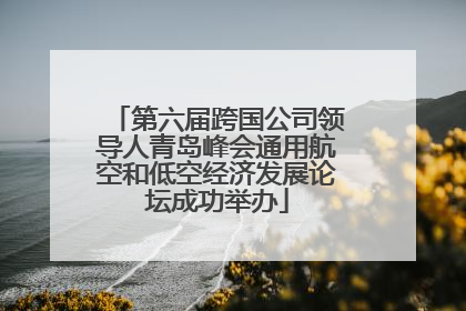 第六届跨国公司领导人青岛峰会通用航空和低空经济发展论坛成功举办