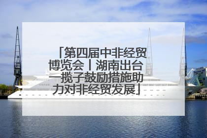 第四届中非经贸博览会丨湖南出台一揽子鼓励措施助力对非经贸发展