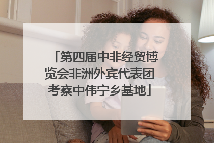 第四届中非经贸博览会非洲外宾代表团考察中伟宁乡基地