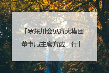罗东川会见方大集团董事局主席方威一行